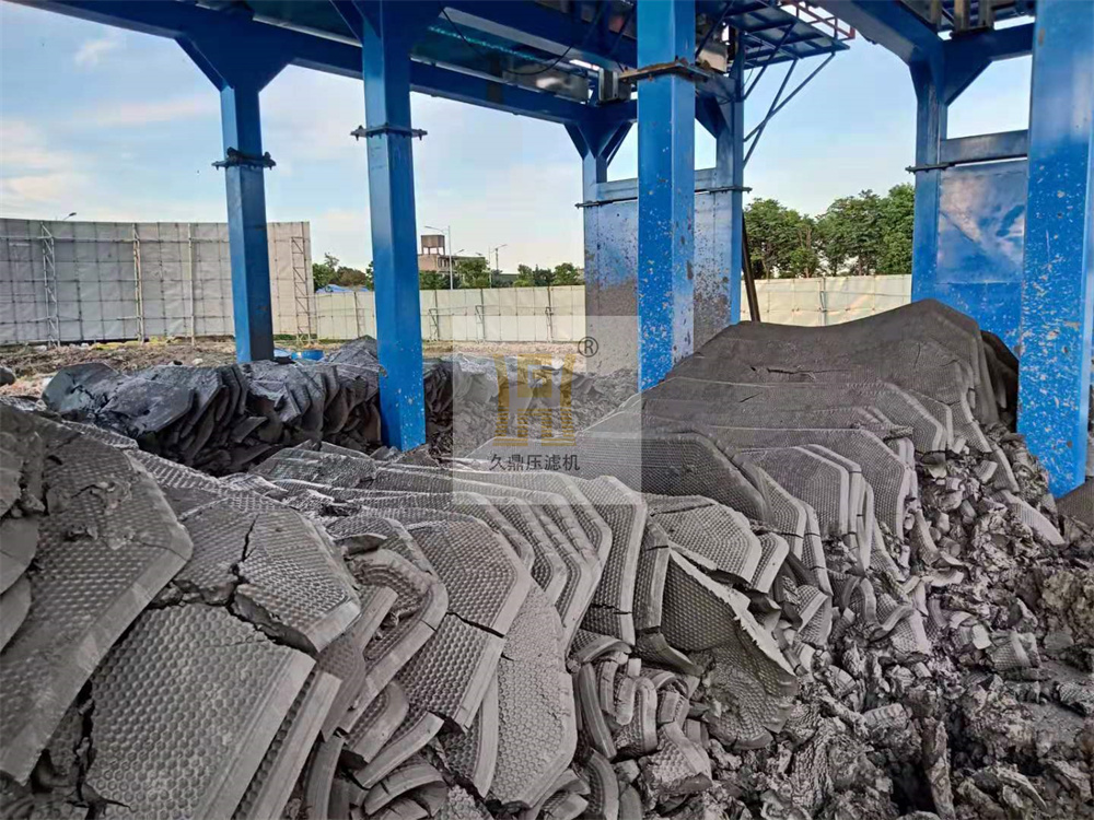 1764396425574249.jpg 1 (30).jpg